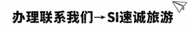 去泰国，办理长期签证？DTV签证全方位对比，告诉您哪个是最优选-第3张图片-ZBLOG