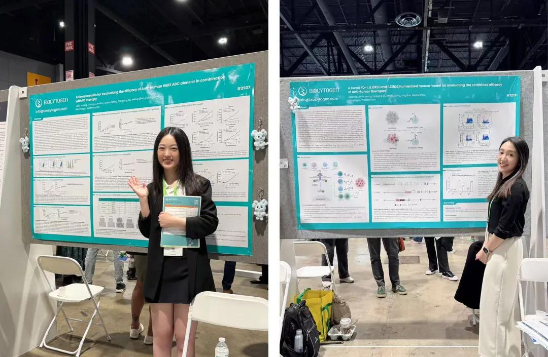百奥赛图25张海报亮相AACR，肿瘤抗体与临床前研究成果获高度关注-第3张图片-ZBLOG