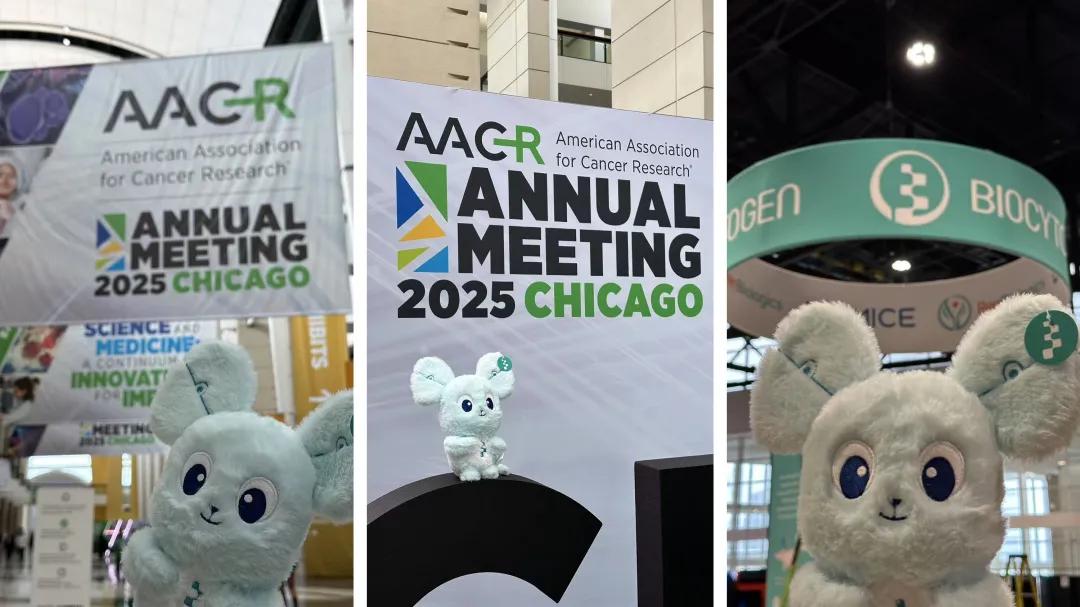 百奥赛图25张海报亮相AACR，肿瘤抗体与临床前研究成果获高度关注-第5张图片-ZBLOG
