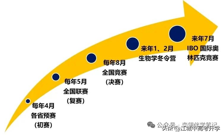 2025五大学科竞赛终极指南!手把手揭秘五大竞赛流程,速收藏备战-第5张图片-ZBLOG 2025全国高中数学联赛预赛_竞赛获奖人数分布_五大学科竞赛流程
