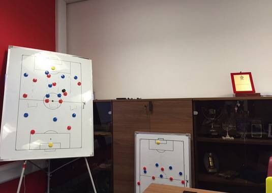 想不到这位中国美女，居然是威尔士足协的足球分析师！