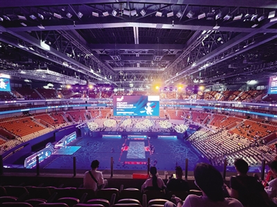 深度沉浸，羽球游泳观赛爽-第2张图片-ZBLOG