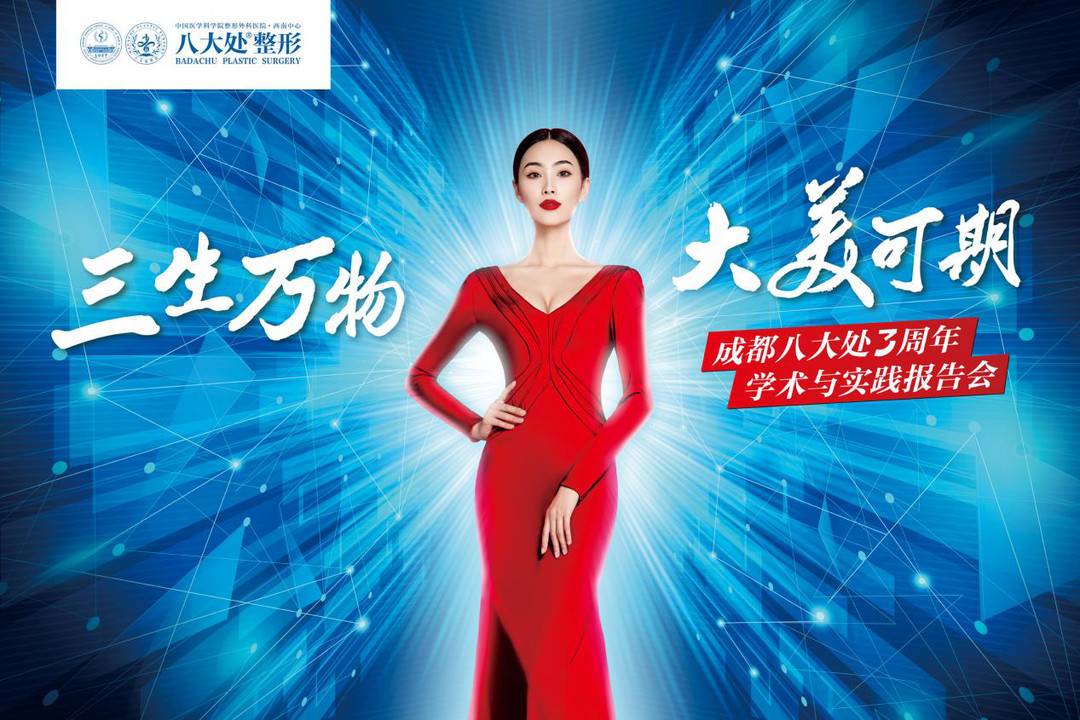 成都八大处三周年庆报告会暨八大处医疗美容医学中心项目战略合作签约仪式在成都高新区盛大举行-第10张图片-ZBLOG 成都八大处3周年报告会_成都八大处医疗美容医院发展战略_整形美容团队介绍文案