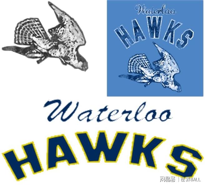 活着就是成功!已消失的NBA球队队徽篇-第27张图片-ZBLOG 已解散的NBA球队历史_nba球队球迷人数排名_NBA已解散球队列表