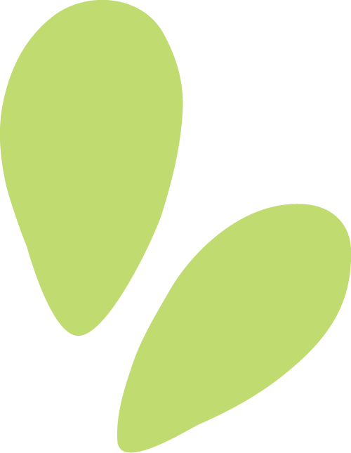 豪门对决,巨星碰撞!2025世俱杯观赛指南快快收好!-第3张图片-ZBLOG 32强球队分组_世界杯赛程_2025年国际足联俱乐部世界杯赛程