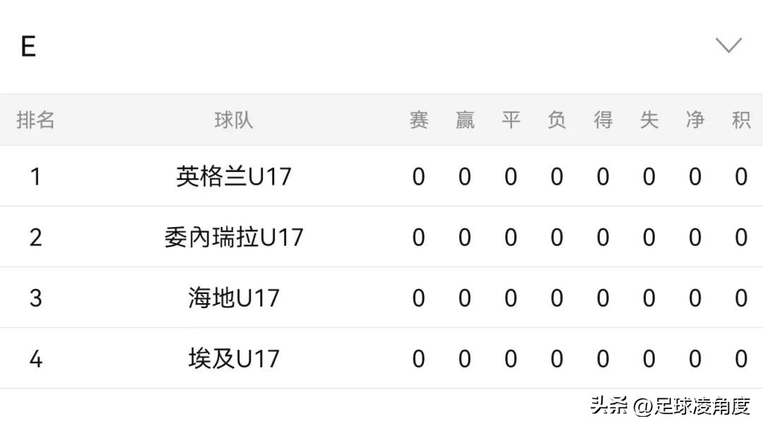 2025国际足联U17世界杯,谁将登顶青春足球之巅?-第3张图片-ZBLOG 传统U17梯队实力分析_2025年国际足联U17世界杯冠军预测_2025年世界杯是哪个国家