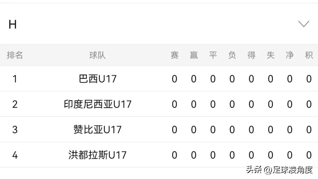 2025国际足联U17世界杯,谁将登顶青春足球之巅?-第5张图片-ZBLOG 2025年国际足联U17世界杯冠军预测_2025年世界杯是哪个国家_传统U17梯队实力分析
