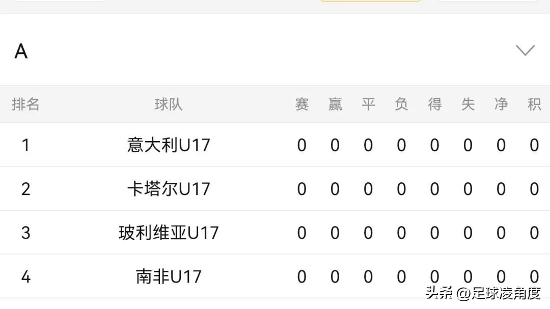 2025国际足联U17世界杯,谁将登顶青春足球之巅?-第6张图片-ZBLOG 2025年世界杯是哪个国家_2025年国际足联U17世界杯冠军预测_传统U17梯队实力分析