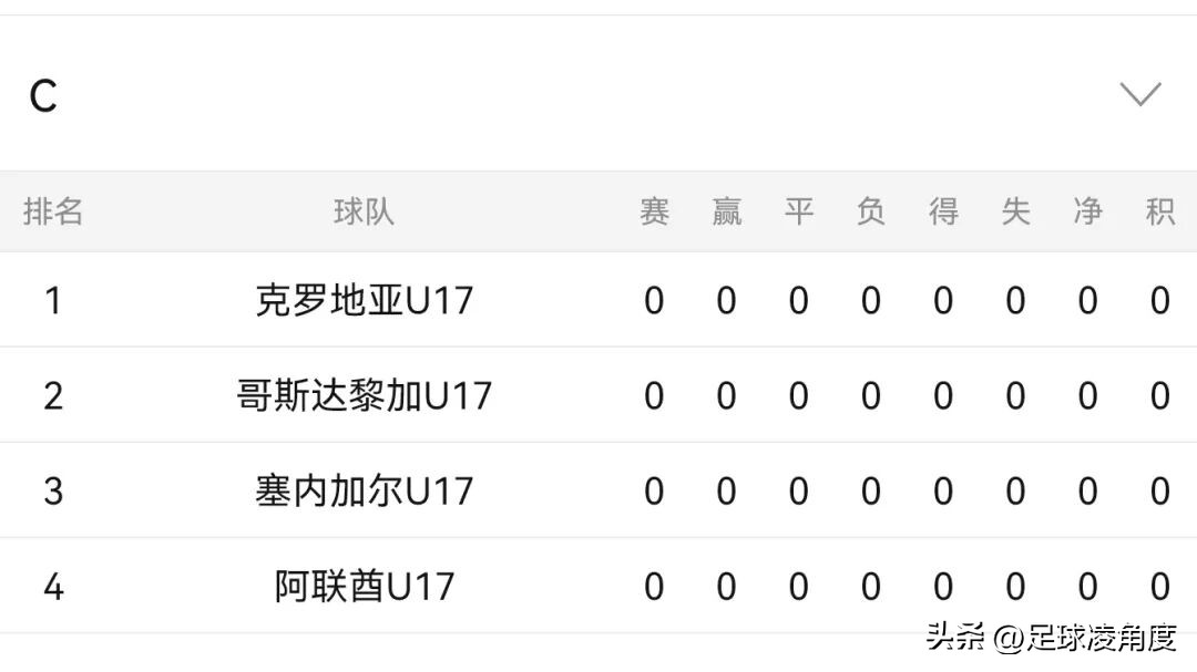 2025国际足联U17世界杯,谁将登顶青春足球之巅?-第7张图片-ZBLOG 2025年世界杯是哪个国家_2025年国际足联U17世界杯冠军预测_传统U17梯队实力分析