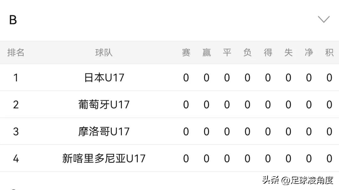 2025国际足联U17世界杯,谁将登顶青春足球之巅?-第8张图片-ZBLOG 传统U17梯队实力分析_2025年世界杯是哪个国家_2025年国际足联U17世界杯冠军预测