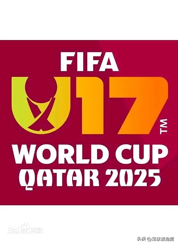 2025国际足联U17世界杯,谁将登顶青春足球之巅?-第10张图片-ZBLOG 2025年国际足联U17世界杯冠军预测_2025年世界杯是哪个国家_传统U17梯队实力分析