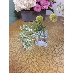 #春游之温泉户外BBQ派对#-第23张图片-ZBLOG 烛光晚餐浪漫户外BBQ_团队户外bbq的意义_春游之温泉户外BBQ派对