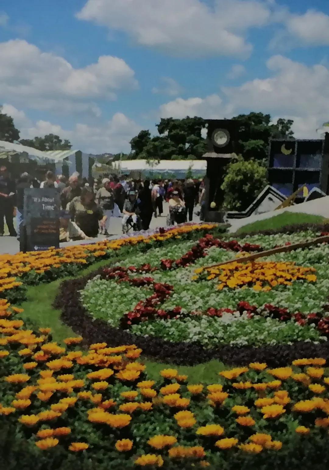 宜居城市奥克兰-第6张图片-ZBLOG 奥克兰生活便利性_奥克兰地理位置特点_奥克兰城(新西兰)