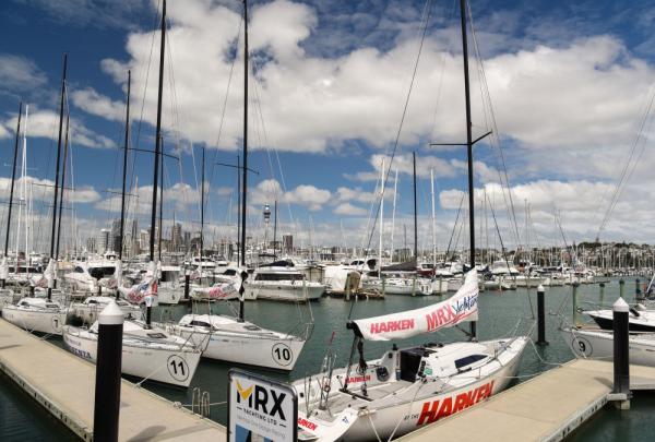 城市之美｜奥克兰，繁华喧嚣与质朴自然并存