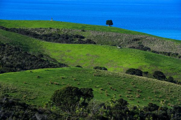 城市之美|奥克兰,繁华喧嚣与质朴自然并存-第20张图片-ZBLOG 新西兰最大城市奥克兰_奥克兰活火山城市_奥克兰城(新西兰)
