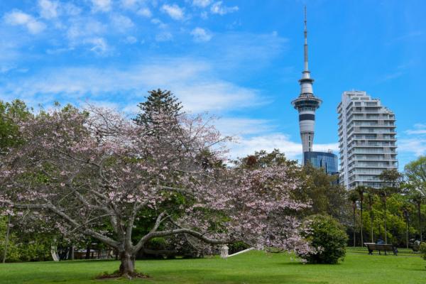 城市之美|奥克兰,繁华喧嚣与质朴自然并存-第3张图片-ZBLOG 奥克兰城(新西兰)_新西兰最大城市奥克兰_奥克兰活火山城市