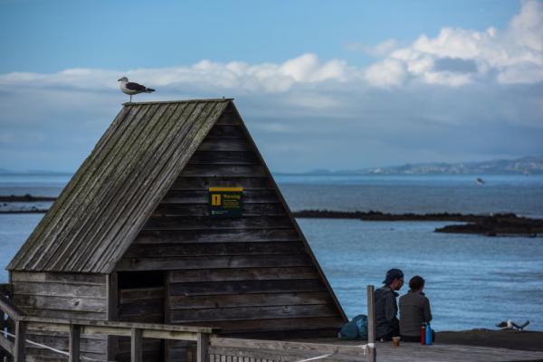城市之美|奥克兰,繁华喧嚣与质朴自然并存-第6张图片-ZBLOG 奥克兰活火山城市_新西兰最大城市奥克兰_奥克兰城(新西兰)