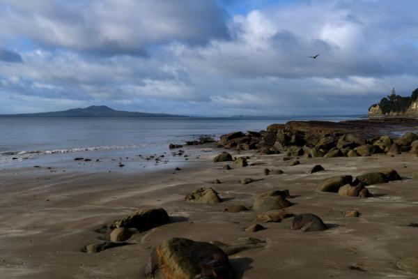 城市之美|奥克兰,繁华喧嚣与质朴自然并存-第10张图片-ZBLOG 奥克兰活火山城市_奥克兰城(新西兰)_新西兰最大城市奥克兰