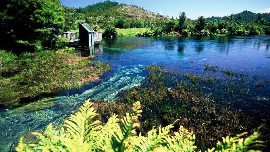 地理冷知识———新西兰-第5张图片-ZBLOG 新西兰旅游指南_新西兰主要城市介绍_奥克兰城(新西兰)