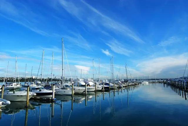 新西兰城市介绍之:帆船之都奥克兰-第2张图片-ZBLOG 新西兰北岛_奥克兰城(新西兰)_奥克兰地理位置