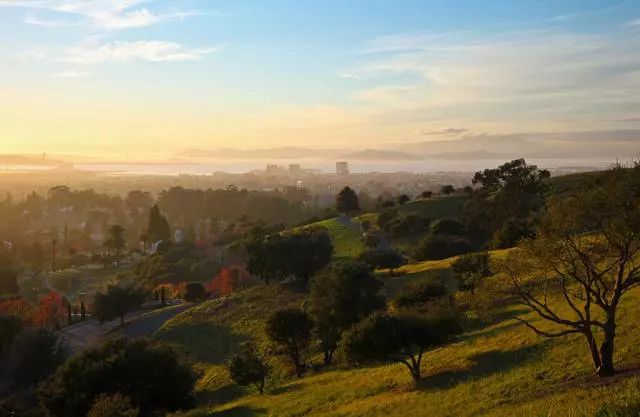 新西兰城市介绍之:帆船之都奥克兰-第6张图片-ZBLOG 奥克兰城(新西兰)_新西兰北岛_奥克兰地理位置