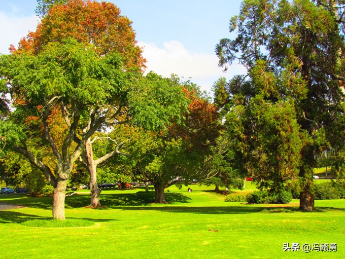 大洋洲旅游：探寻新西兰帆之都奥克兰（图）-第6张图片-ZBLOG