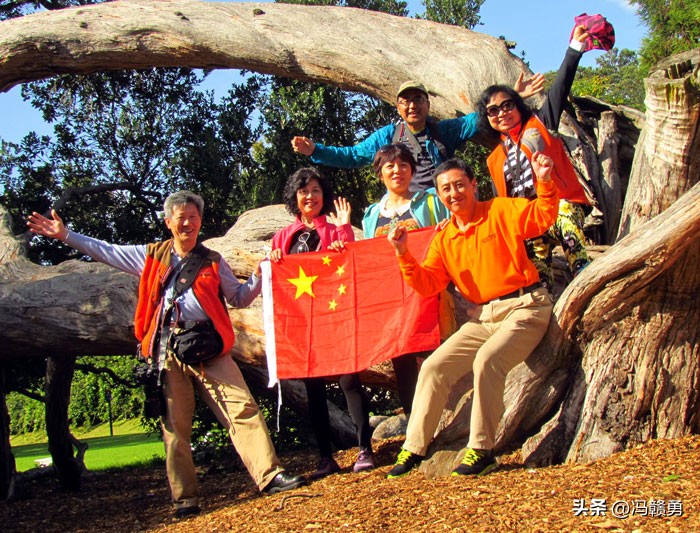 大洋洲旅游：探寻新西兰帆之都奥克兰（图）-第7张图片-ZBLOG