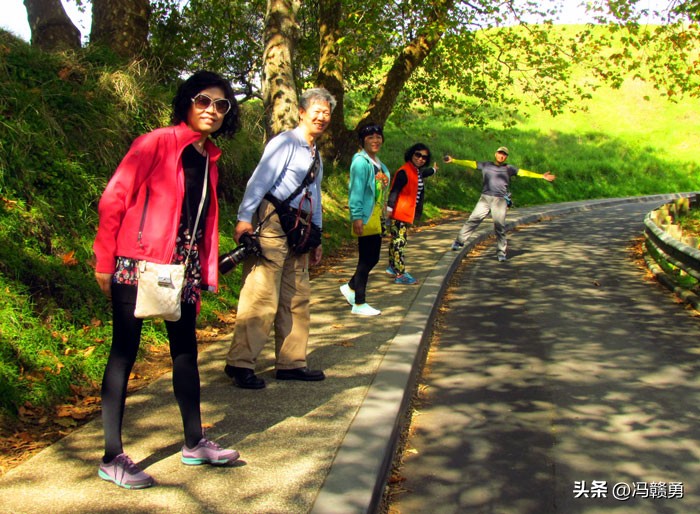 大洋洲旅游：探寻新西兰帆之都奥克兰（图）-第10张图片-ZBLOG