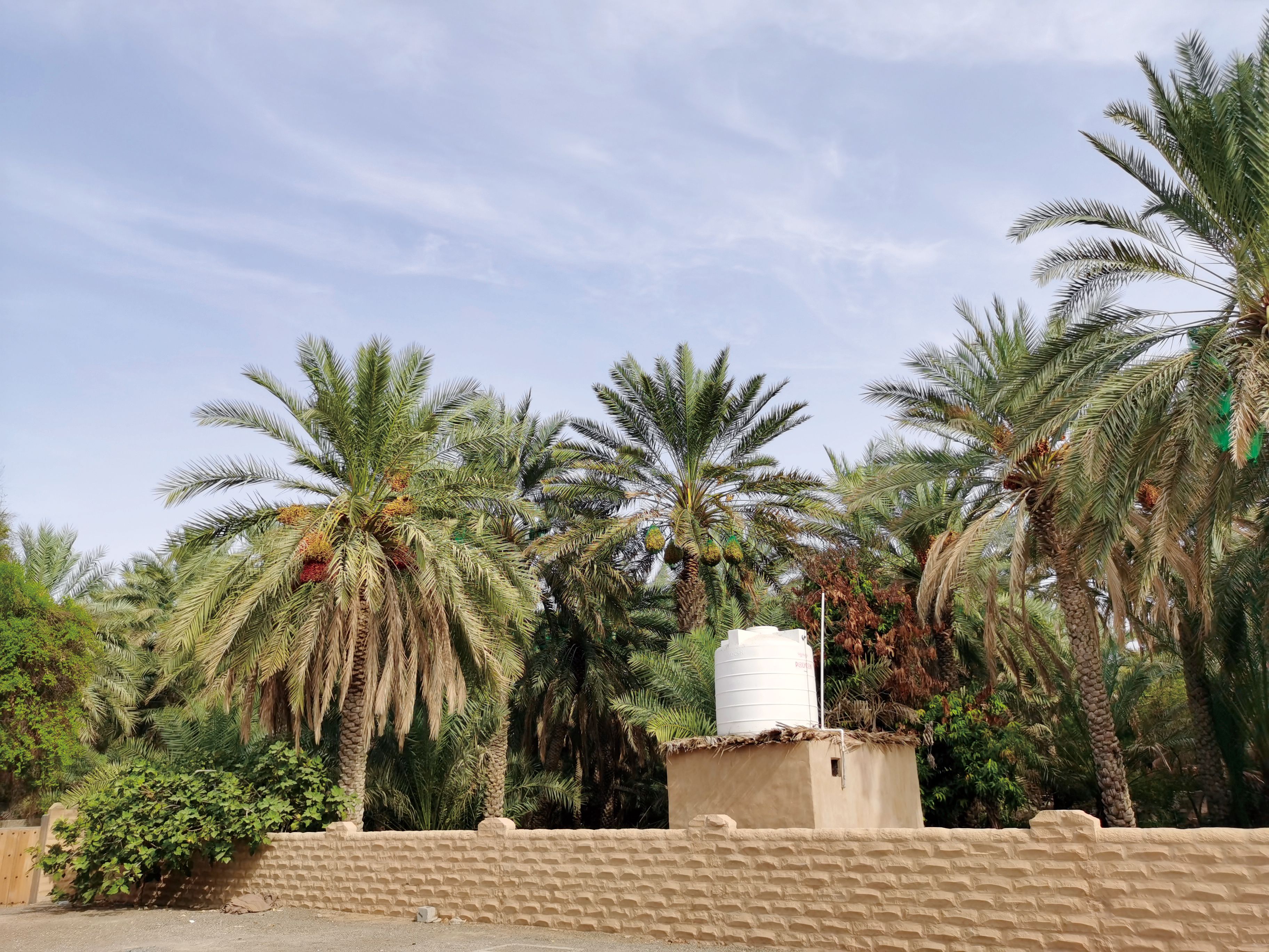 阿联酋与阿曼的界山，哈菲特山-第3张图片-ZBLOG