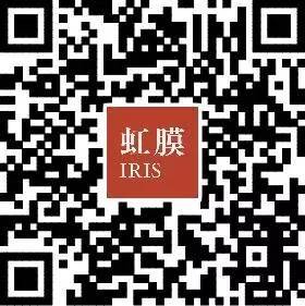【虹膜】《美队3》机场群架已达漫威极限 除非一个人出山-第41张图片-ZBLOG