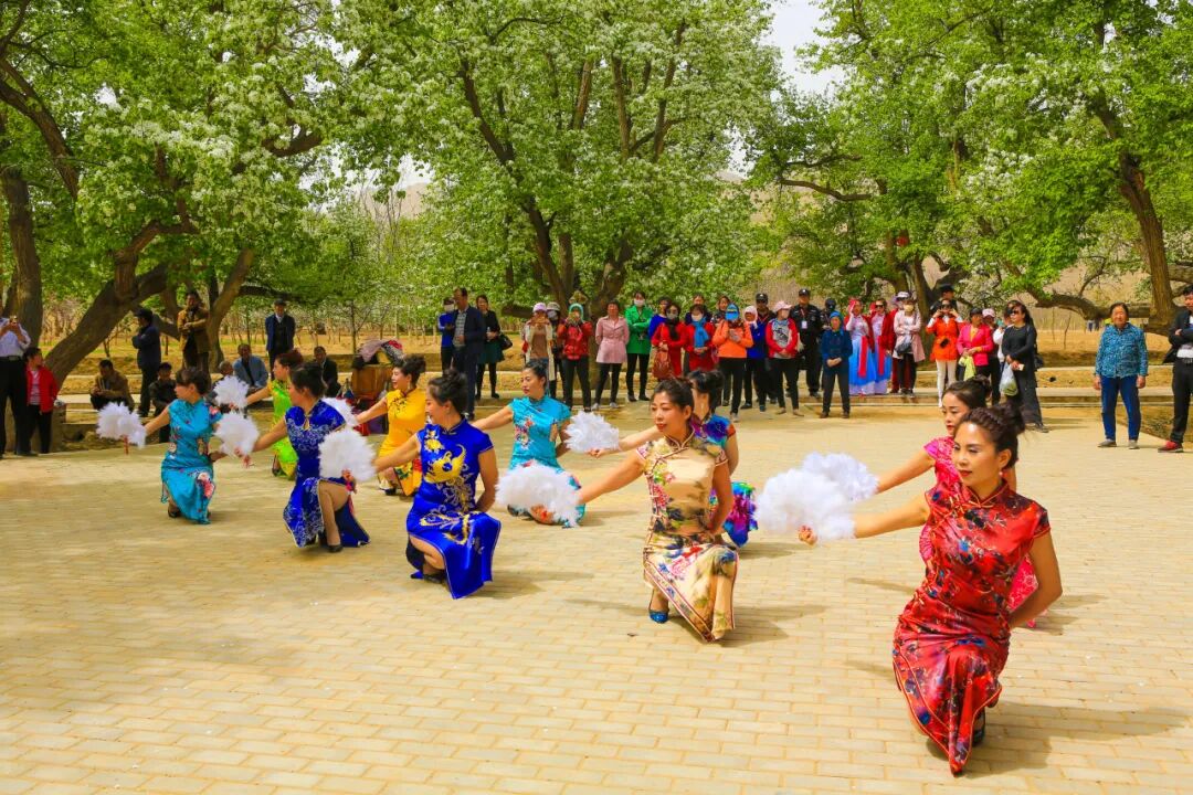 一支活跃在乡村振兴舞台上的文艺团队-第2张图片-ZBLOG 村业余文艺团队简介_文艺助力乡村振兴_中卫市古典艺术协会