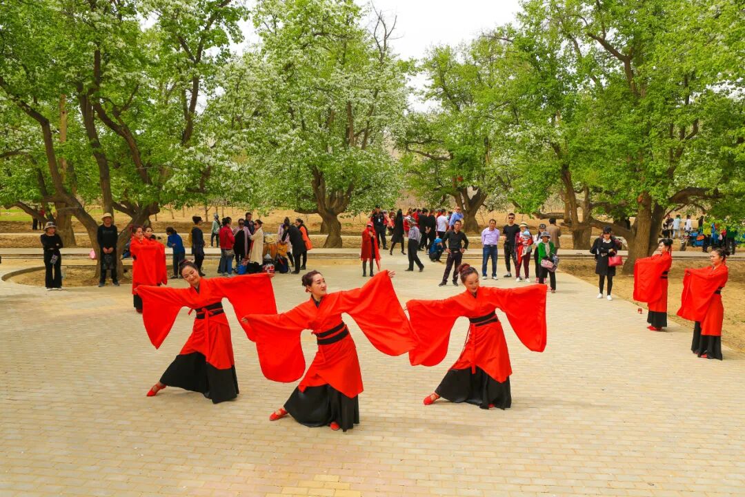 一支活跃在乡村振兴舞台上的文艺团队-第3张图片-ZBLOG 村业余文艺团队简介_中卫市古典艺术协会_文艺助力乡村振兴