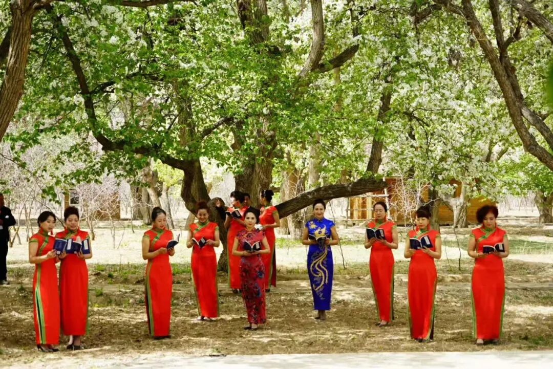 一支活跃在乡村振兴舞台上的文艺团队-第5张图片-ZBLOG 中卫市古典艺术协会_村业余文艺团队简介_文艺助力乡村振兴