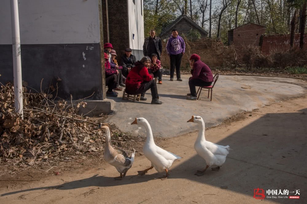 河南艾滋村:一管血卖50,半个村染病-第14张图片-ZBLOG 河南艾滋拆迁队_卖血感染艾滋病历史_河南上蔡县艾滋病村