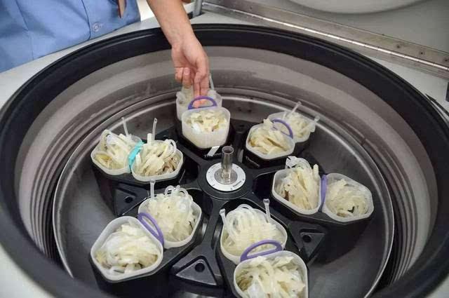 90年代,河南文楼村村民卖血为生,艾滋肆虐,现在那里怎么样了?-第7张图片-ZBLOG 河南艾滋拆迁队_河南拆迁村_河南拆迁赔偿