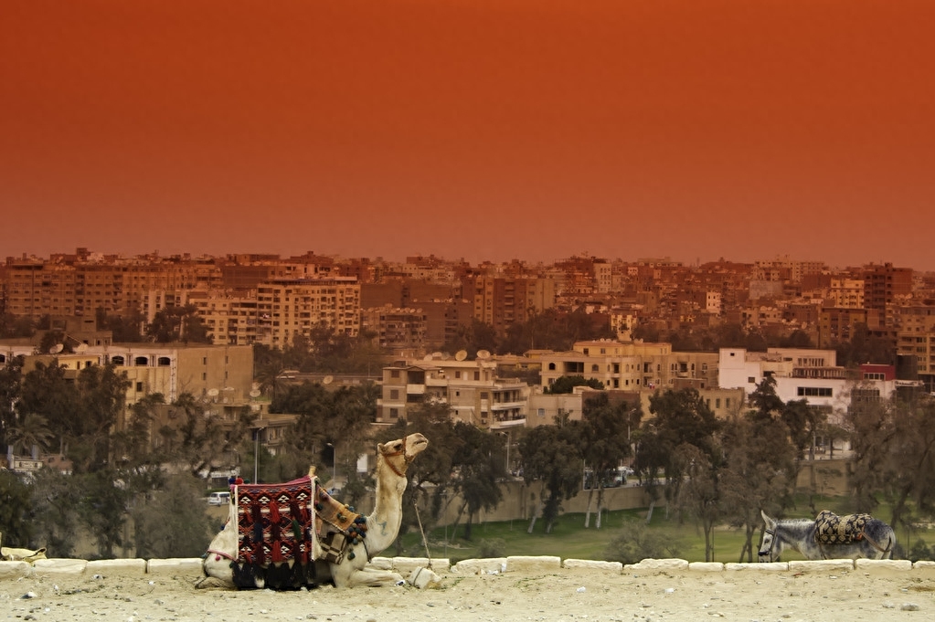 开罗(Cairo)(埃及)-第10张图片-ZBLOG 开罗(Cairo)(埃及)