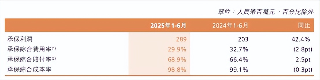 资产规模超6000亿，阳光保险2025上半年多板块展现转型深化新进展-第3张图片-ZBLOG