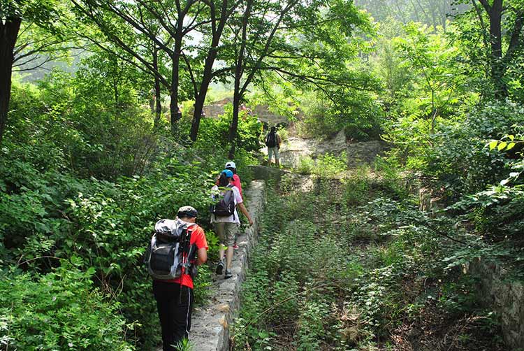 如何策划好爬山的拓展团建方案？-第5张图片-ZBLOG