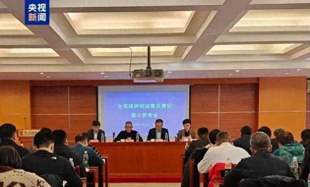 19岁围棋手秦思玥在比赛中使用AI作弊，被撤销段位禁赛8年-第2张图片-ZBLOG