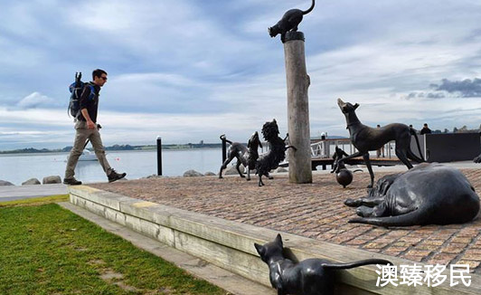 盘点新西兰最受移民关注的城市,奥克兰位列第一!-第4张图片-ZBLOG 盘点新西兰最受移民关注的城市,奥克兰位列第一5.jpg