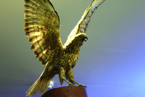 澳新行(2):火山上的城市奥克兰-第4张图片-ZBLOG 新西兰自然风光欣赏_新西兰奥克兰旅游攻略_奥克兰城(新西兰)