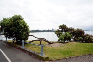 澳新行(2):火山上的城市奥克兰-第31张图片-ZBLOG 奥克兰城(新西兰)_新西兰奥克兰旅游攻略_新西兰自然风光欣赏