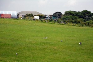 澳新行(2):火山上的城市奥克兰-第41张图片-ZBLOG 新西兰奥克兰旅游攻略_奥克兰城(新西兰)_新西兰自然风光欣赏