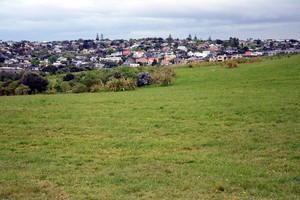 澳新行(2):火山上的城市奥克兰-第45张图片-ZBLOG 新西兰奥克兰旅游攻略_新西兰自然风光欣赏_奥克兰城(新西兰)