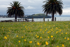 澳新行(2):火山上的城市奥克兰-第46张图片-ZBLOG 奥克兰城(新西兰)_新西兰奥克兰旅游攻略_新西兰自然风光欣赏