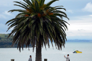 澳新行(2):火山上的城市奥克兰-第47张图片-ZBLOG 新西兰奥克兰旅游攻略_奥克兰城(新西兰)_新西兰自然风光欣赏