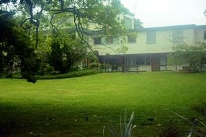 澳新行(2):火山上的城市奥克兰-第8张图片-ZBLOG 新西兰自然风光欣赏_新西兰奥克兰旅游攻略_奥克兰城(新西兰)