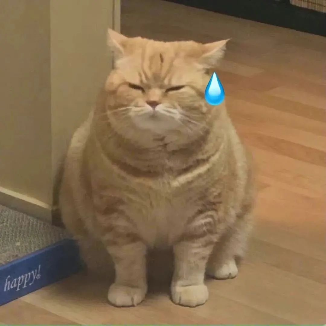 万柳书院少爷出圈了-第2张图片-ZBLOG