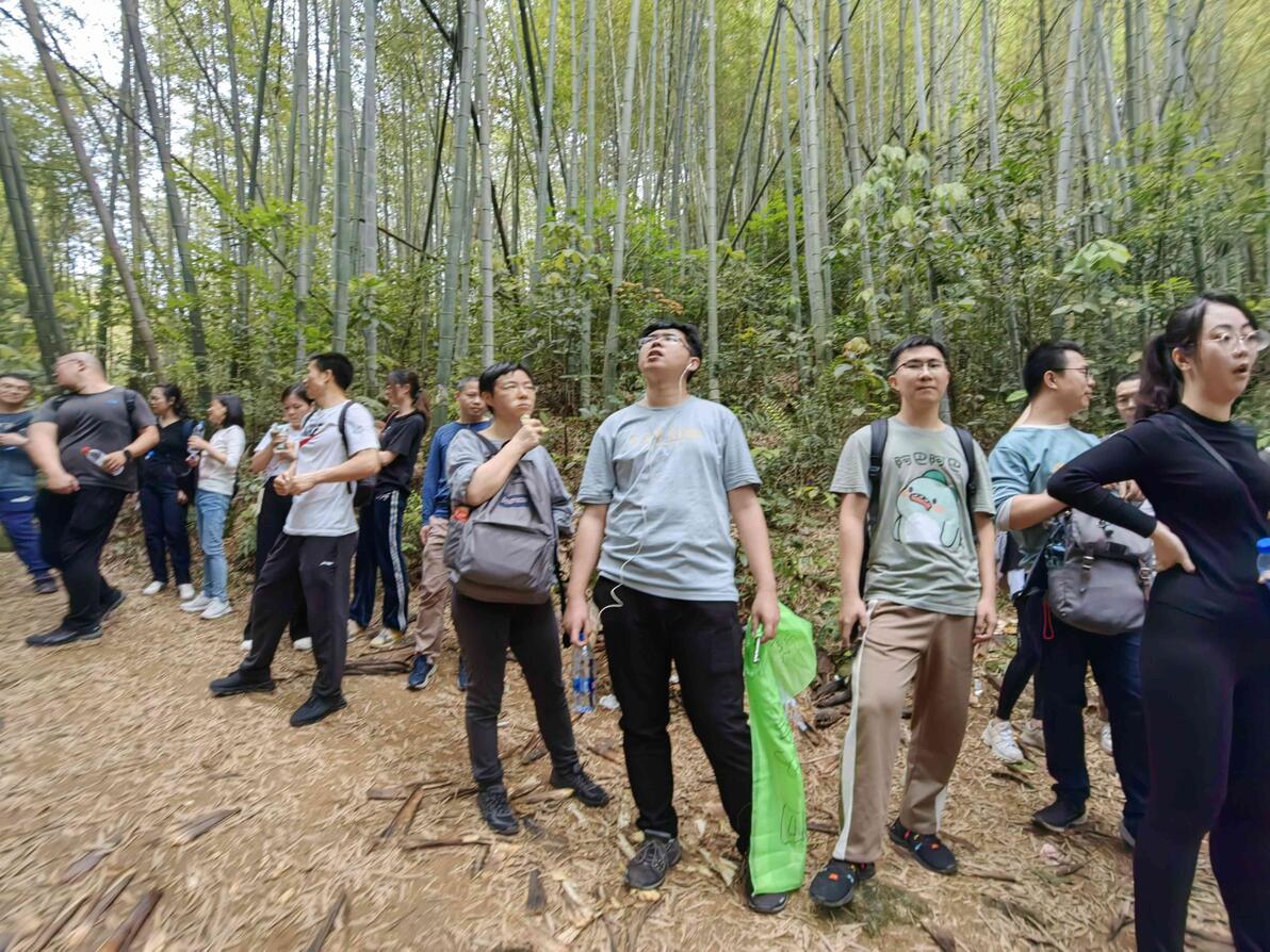 让团建不再烧钱：广东省公司经济型团队团建拓展训练活动户外方案-第1张图片-ZBLOG