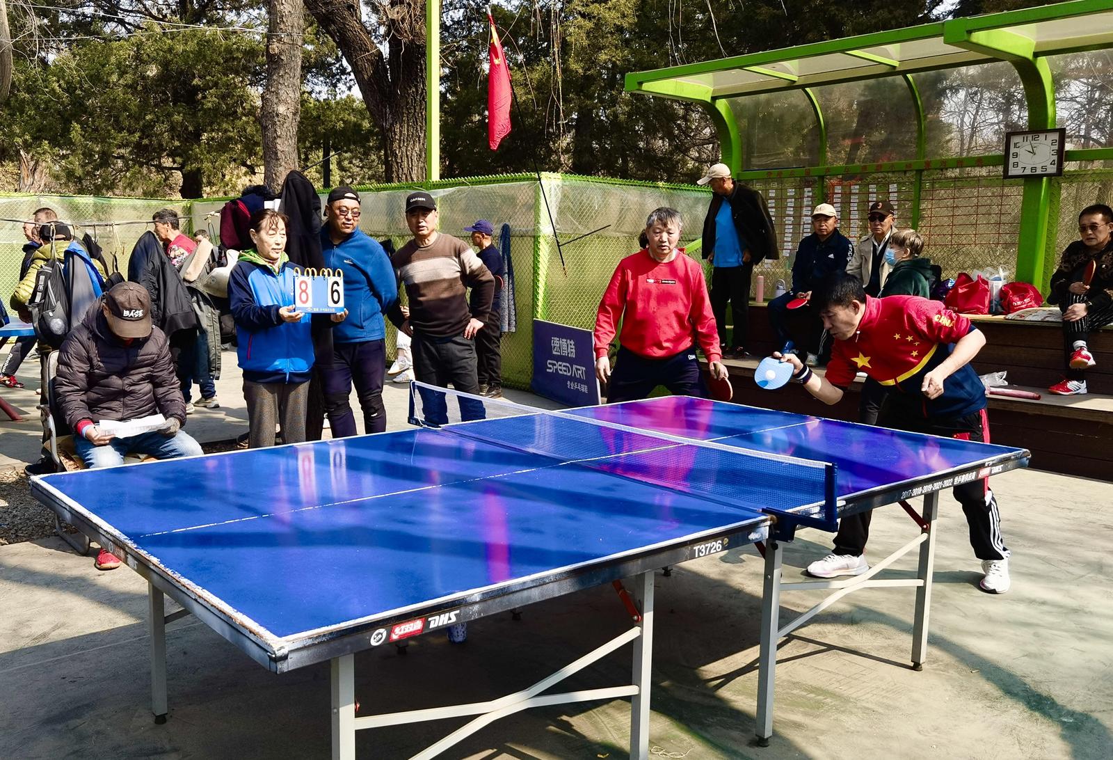 近80处较大规模场地,近5万人常年坚持……公园“小乒乓”赛出全民“大健身”-第4张图片-ZBLOG 沈阳乒乓球场馆一览表_沈阳劳动公园乒乓球双打友谊赛_沈阳公园乒乓球联赛